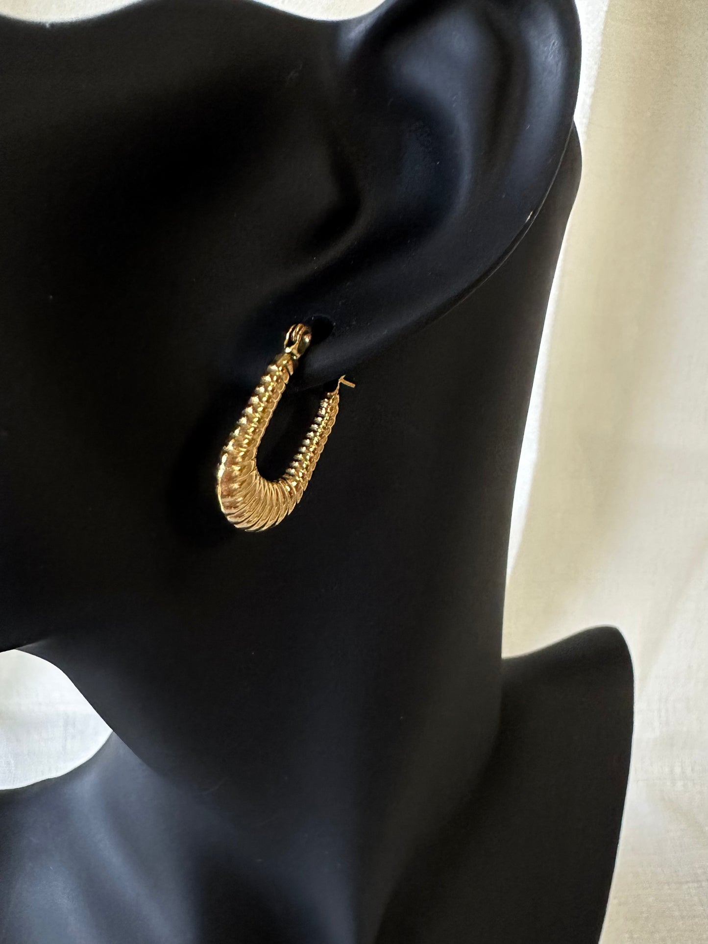Oval hoop earrings #E0001