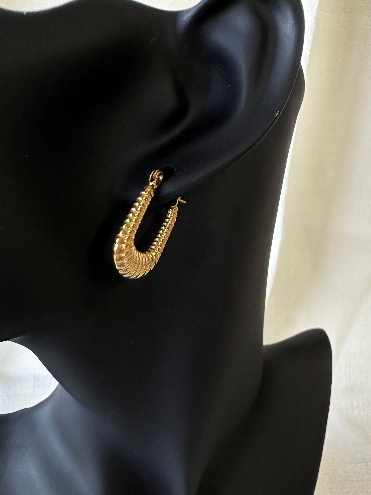 Oval hoop earrings  #E0001